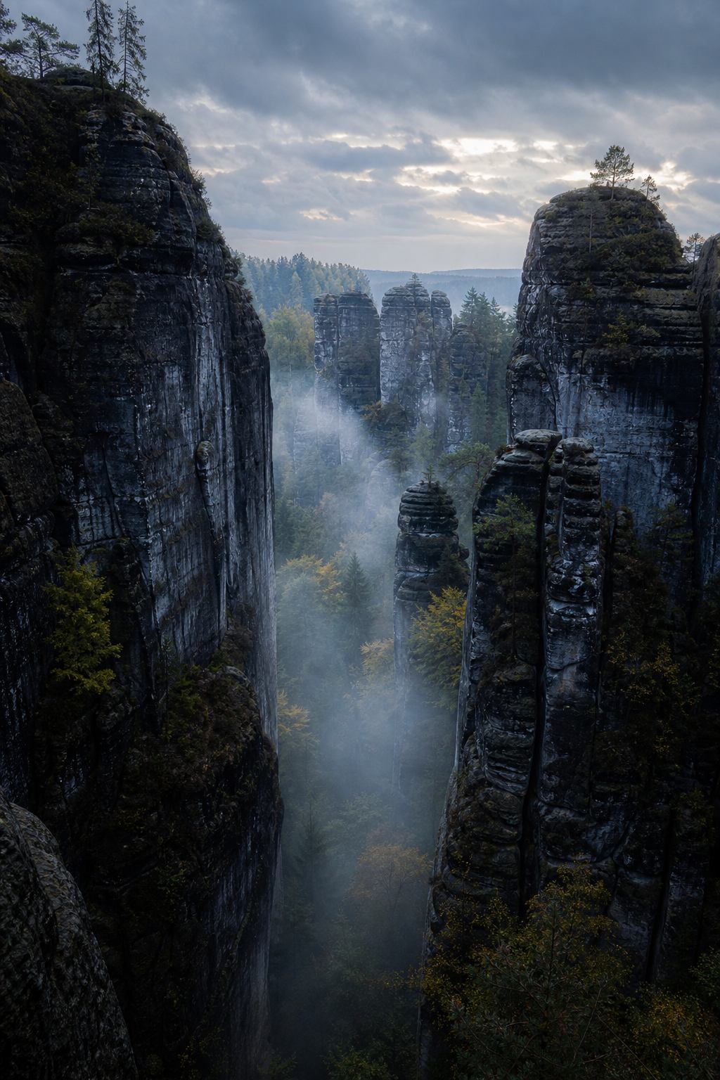 Sandsteinfelsen und Schlucht in der Sächsischen Schweiz